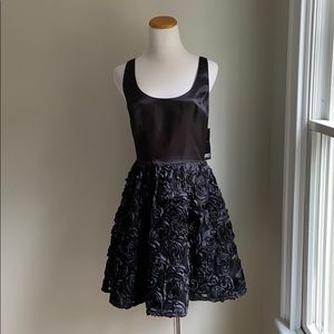 NEW Adrianna Papell Boutique Cocktail Dress